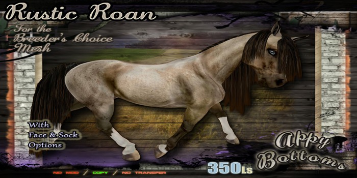 ~::AppB::~ RusticRoan Coat