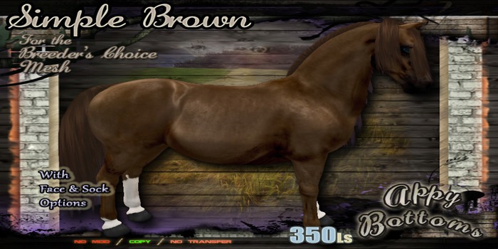 ~::AppB::~ SimpleBrown Coat