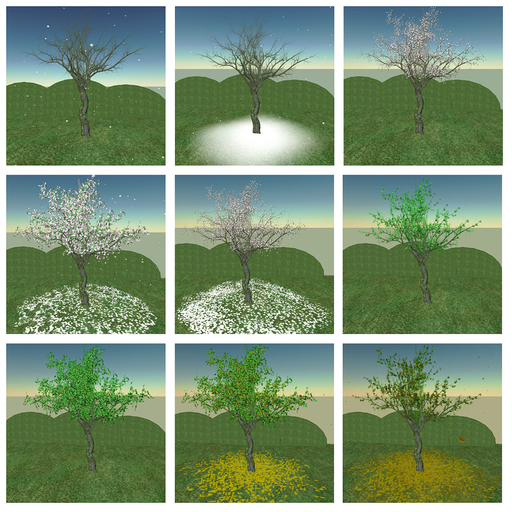 4 Season White Cherry Tree (copy)