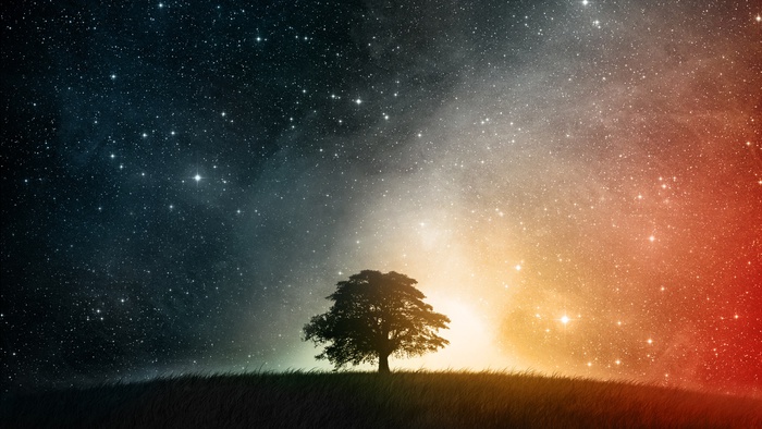 fantasy tree and stars