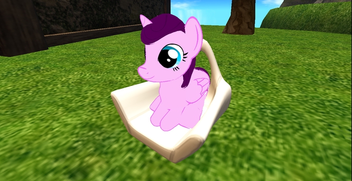 pony chair