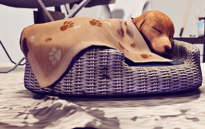 ISPACHI [Florian] Puppy RARE