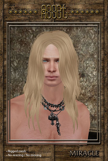 > Asset < Miracle Hair - Colors