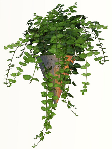 Ivy Vines Cone Wall Plant Planter
