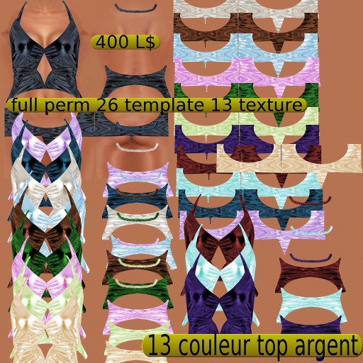 13 couleut top argent