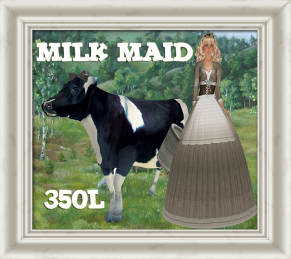 Shabby Chic MIlk Maid Dress Vintage Farm Girl Dress