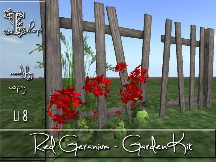 Red Geranium - Garden Kit MC