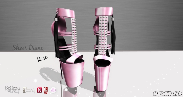 Shoes Diane Rose