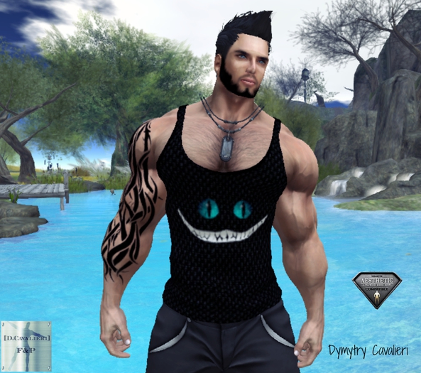 [D.Cavalieri] - Cheshire Tank - Fitted Mesh