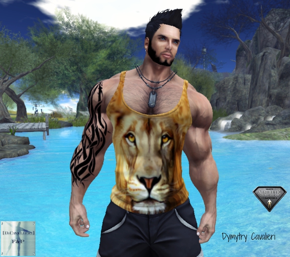 [D.Cavalieri] - Lion Tank - Fitted Mesh