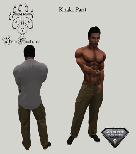 Khaki Pant
