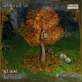 Owl in a fall tree 3 Li