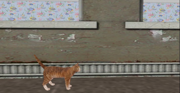 Ledge Kitty Walks Straight Back and Forth 15m   mesh