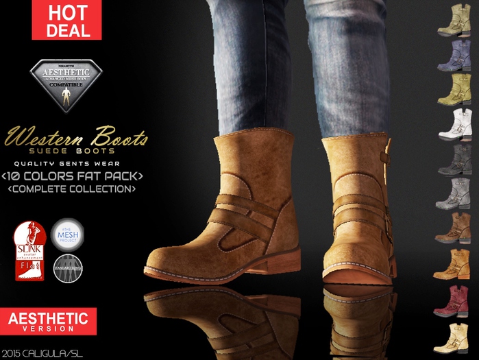 CA AESTHETIC WESTERN SUEDE BOOTS FAT PACK