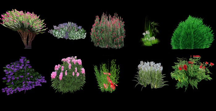 V & H 10 flowers for the garden 1 prim mod copy