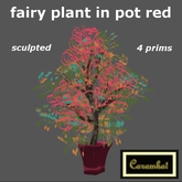 fairy plant in pot - red