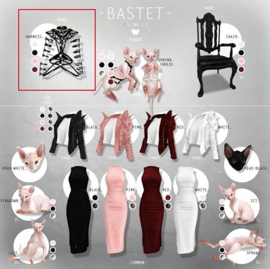 -Pixicat- Bastet.Harness (s) RARE