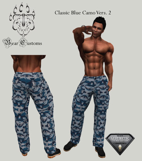 Classic Cam Blue Print Vers 2