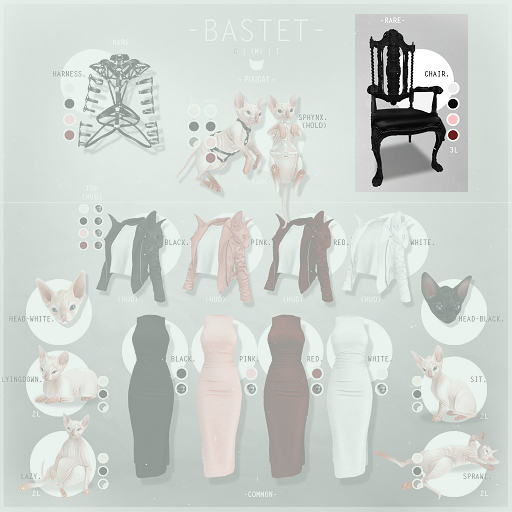 -Pixicat- Bastet.Chair RARE