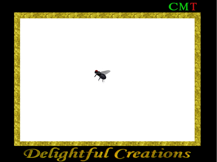 Second Life Marketplace Flying Fly