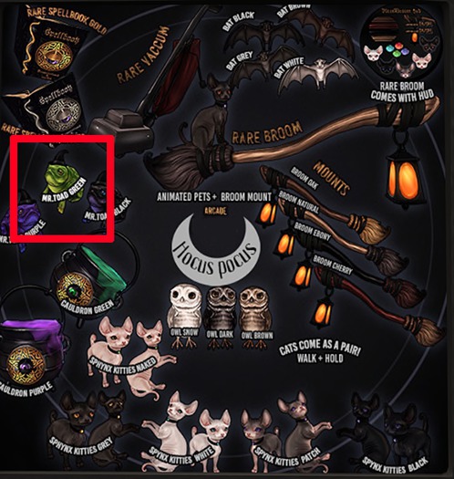 Birdy - Hocus Pocus - Mr.Toad - Green [box]