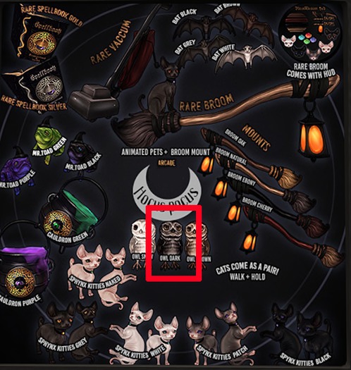 Hocus Pocus - Owlie - Dark [box]