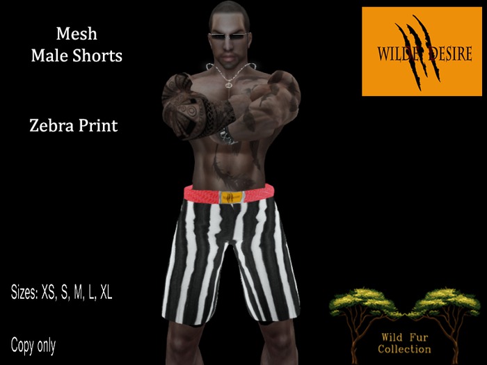 Mesh Male Zebra Shorts