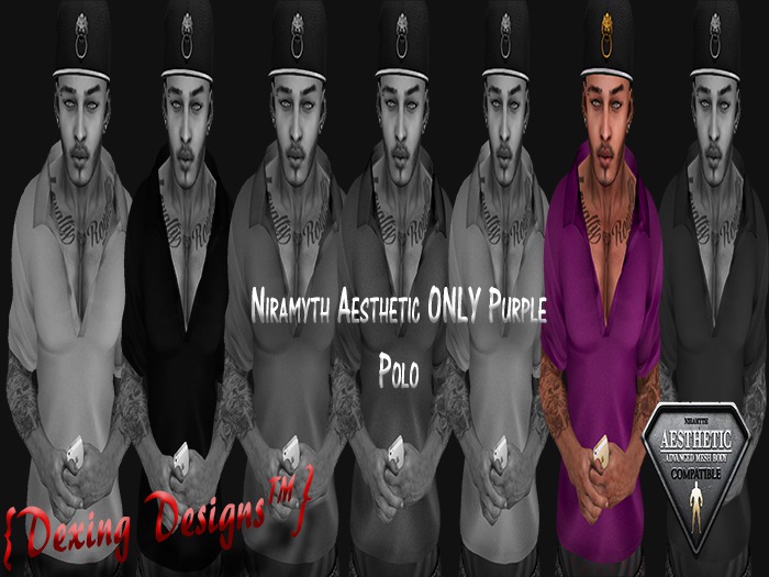 {DD} Aesthetic Polo Blue