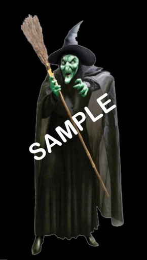Halloween Witch With Sound
