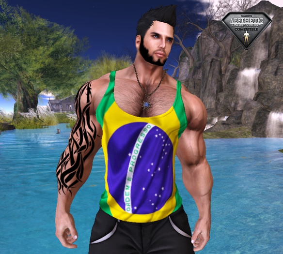 [D.Cavalieri] - Brazilian Flag Tank