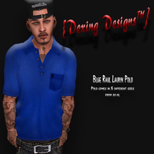 {DD} Raul Laurin Blue Polo