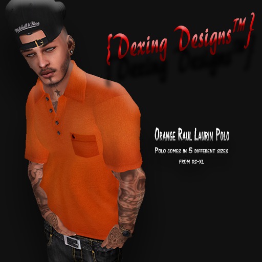 {DD} Raul Laurin Blue Polo