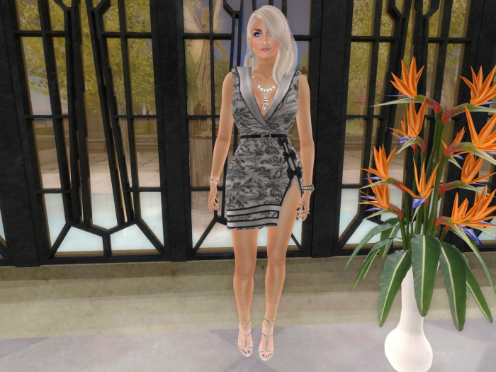 Para's Lapel Dress - SilverBeaded