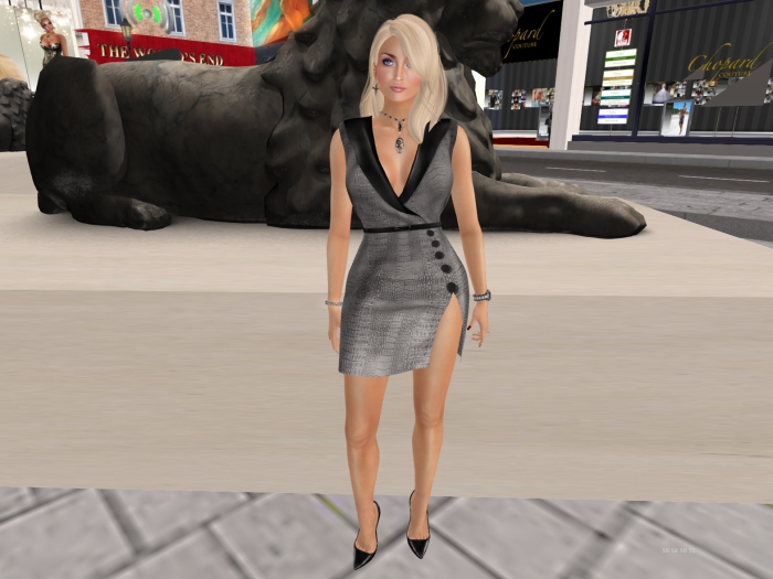 Para's Lapel Dress - SilverSnake