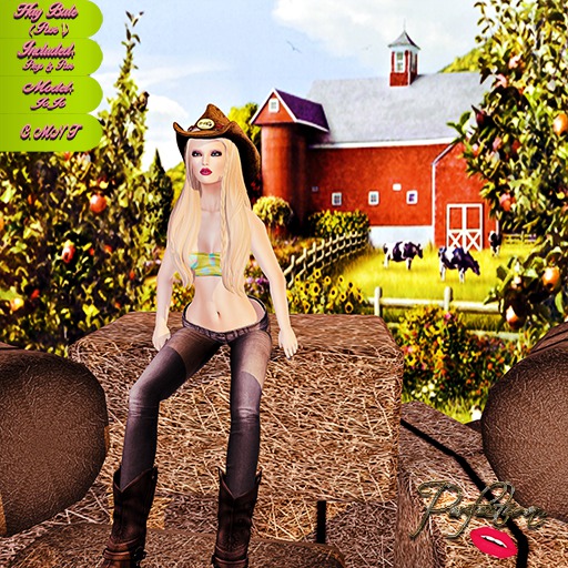 Perfection ~ Hay Bale (Pose 1)*