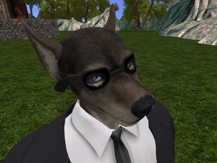 [1A] Athlete Wolf Goggles