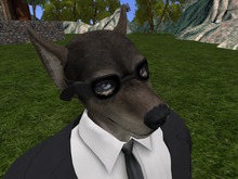 [DEMO] [1A] Athlete Wolf Goggles