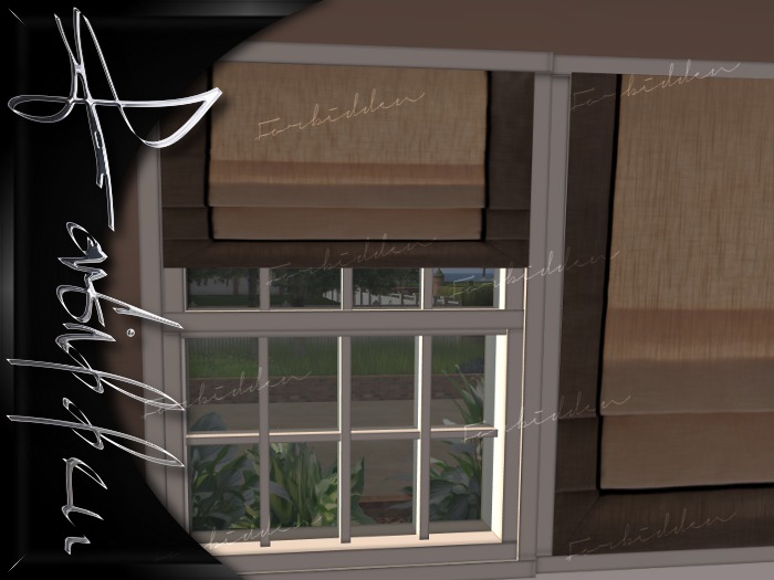 [FORBIDDEN] ROMAN BLIND BRWN