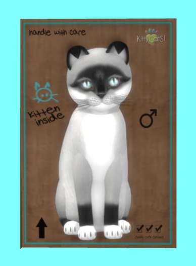 KittyCatS Box - Foxie - Salt & Pepper Mask