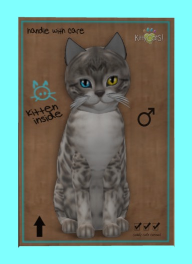 KittyCatS Box - Bengal - Snow