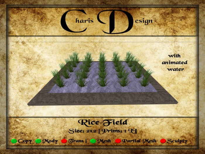 .::[CD]::. Rice Field