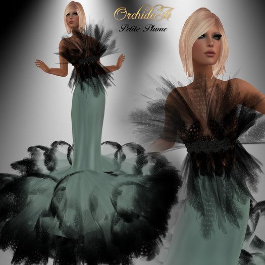 ** Orchidea** PETITE PLUME aqua