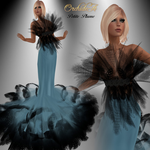 ** Orchidea** PETITE PLUME blue sky
