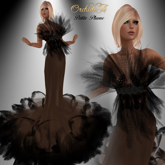 ** Orchidea** PETITE PLUME chocolat