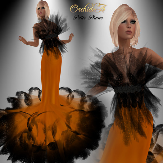 ** Orchidea** PETITE PLUME orange