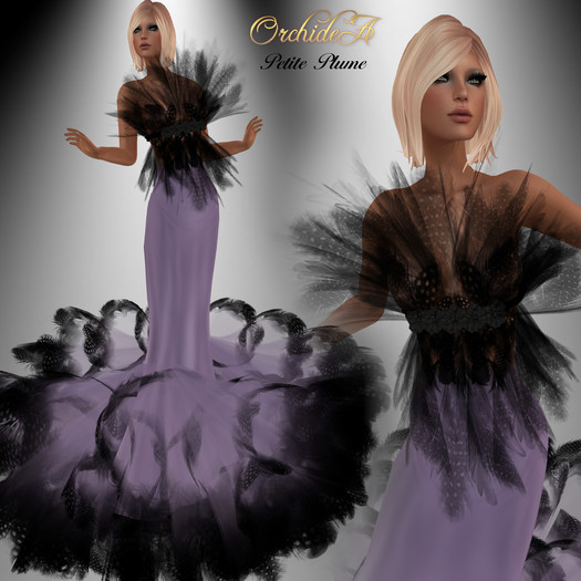 * Orchidea** PETITE PLUME parme