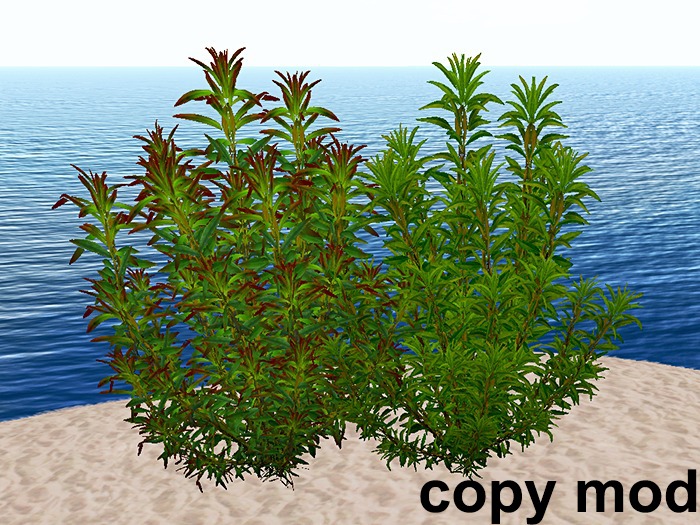 Big Bushes - Mesh - Copy Mod