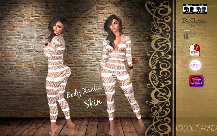 Body Xantia Skin