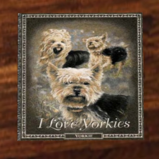 I Love Yorkies Door Mat or Rug Wall Hanging
