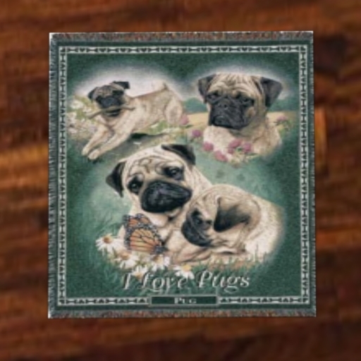 I Love Pugs Door Mat or Rug Wall Hanging